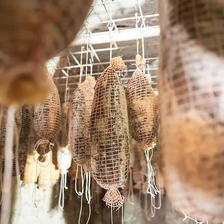 Pr'lukcevih With 4 Bedrooms & Indoor Sauna * Kanal