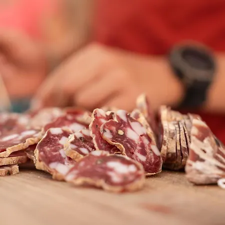 Pr'lukcevih With 4 Bedrooms & Indoor Sauna Tatil Evi Kanal